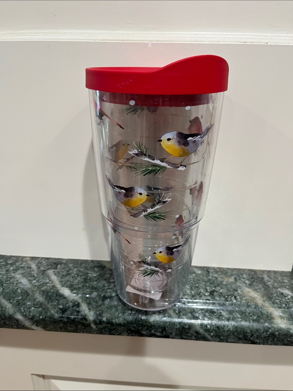 Sara Berrenson Holiday clear  Travel Tumbler with Bird Print and Red Lid